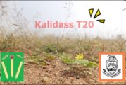 Vasan Estates' Kalidas T20 Tournament