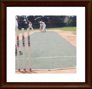 TNCA Cricket - Domestic Cricket