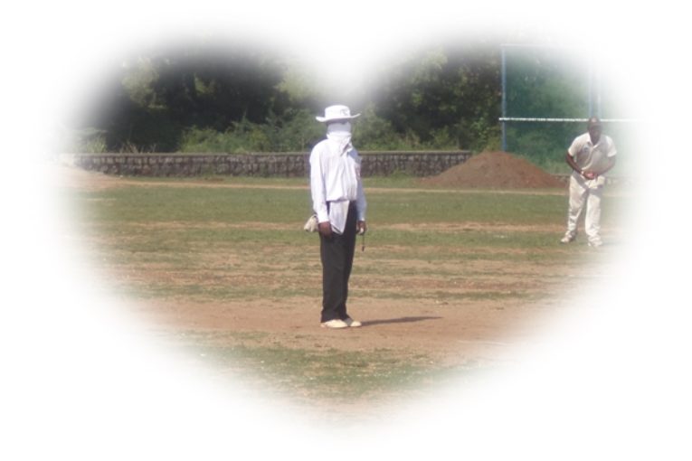 Domestic Cricket - An Umpire