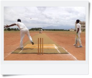 Domestic CKt4 Domestic Cricket in Tamil Nadu