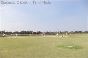 Domestic Cricket in tamil nadu
