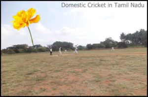 Domestic Cricket in Tamilnadu
