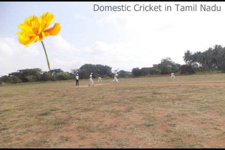 Domestic Cricket in Tamilnadu