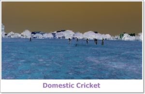Domestic Cricket