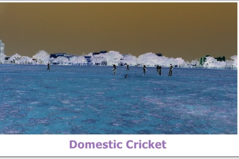 Domestic Cricket