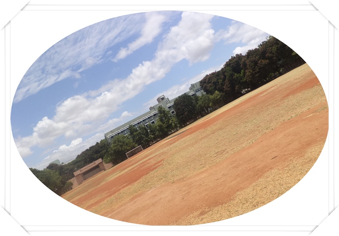 Cricket in Trichy