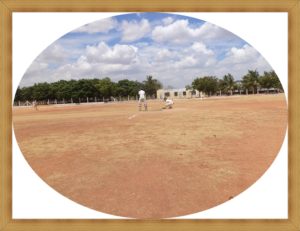 District Cricket