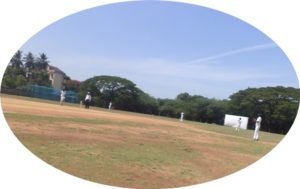 District Cricket