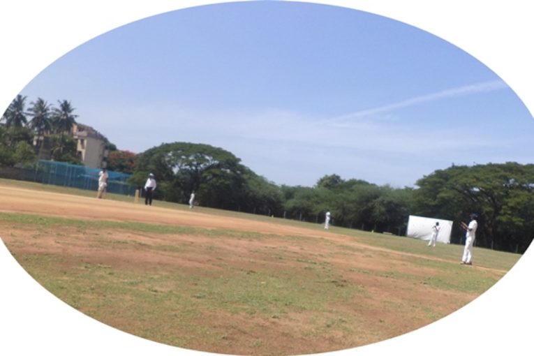 District Cricket