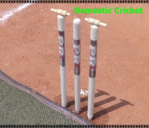District Cricket