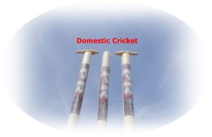 District Cricket