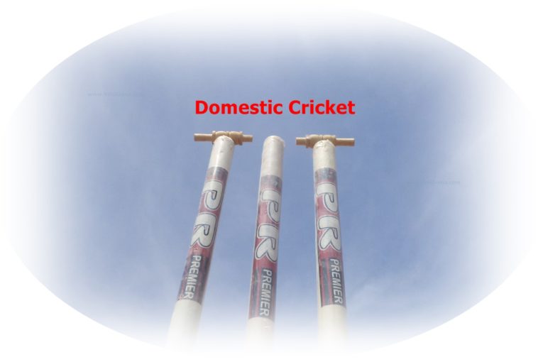 District Cricket