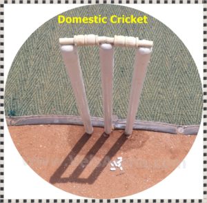 District Cricket
