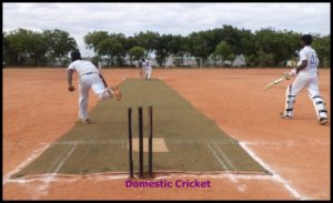Domestic Cricket