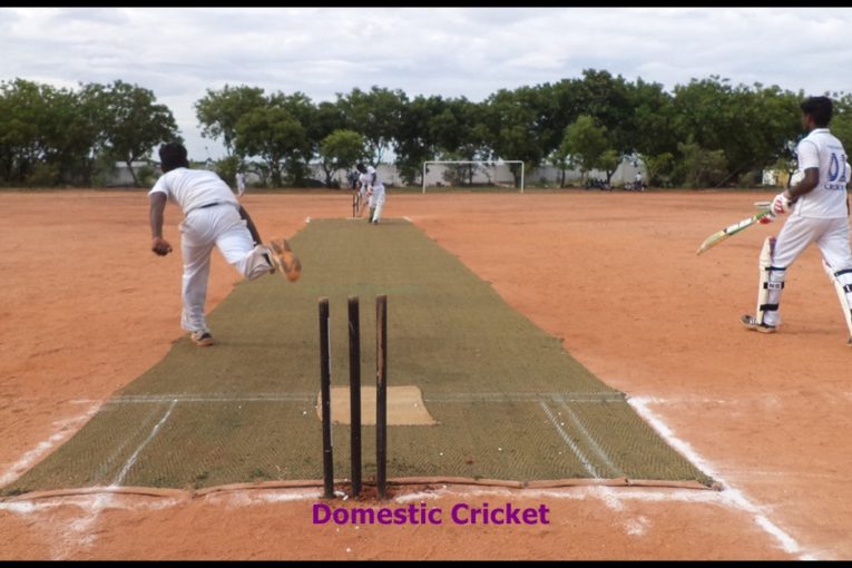 Domestic Cricket