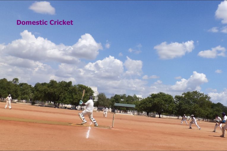 Domestic Cricket