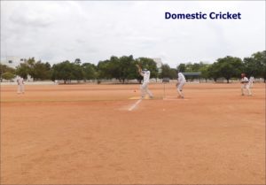 Domestic Cricket