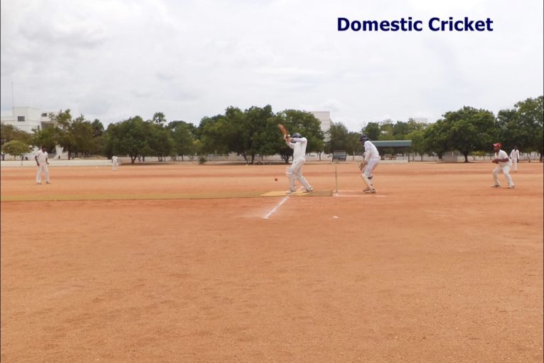 Domestic Cricket