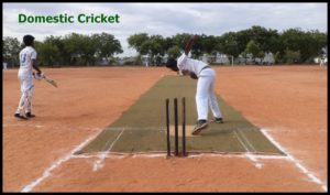 Domestic Cricket