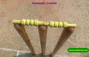 Domestic Cricket