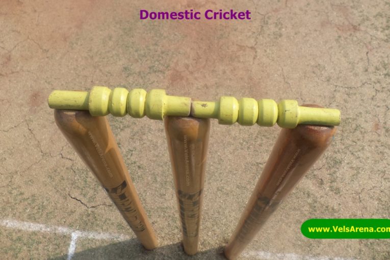 Domestic Cricket