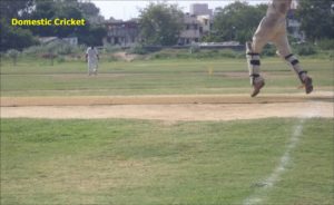Domestic Cricket Domestic Cricket