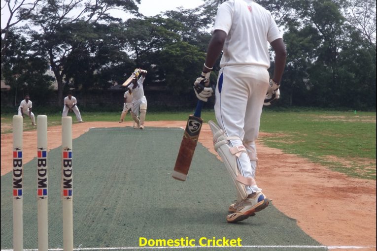 Domestic Cricket