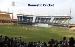 Domestic Cricket