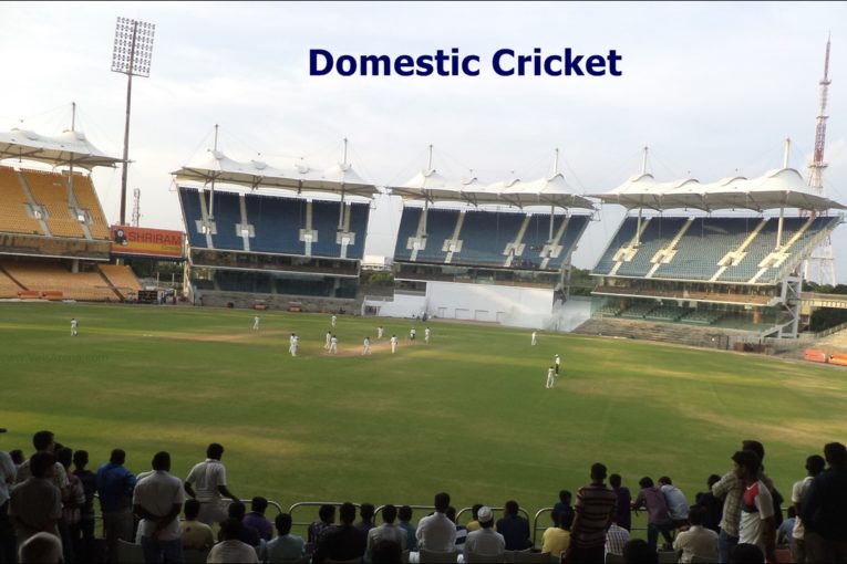 Domestic Cricket