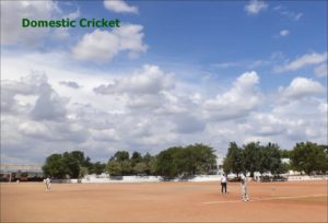 Domestic Cricket