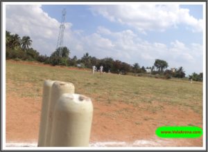 Cricket in Tamil Nadu