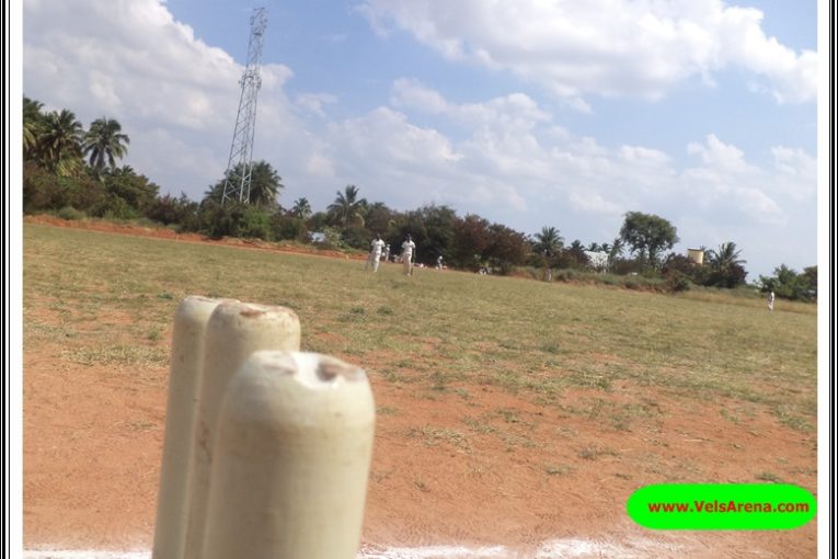 Cricket in Tamil Nadu