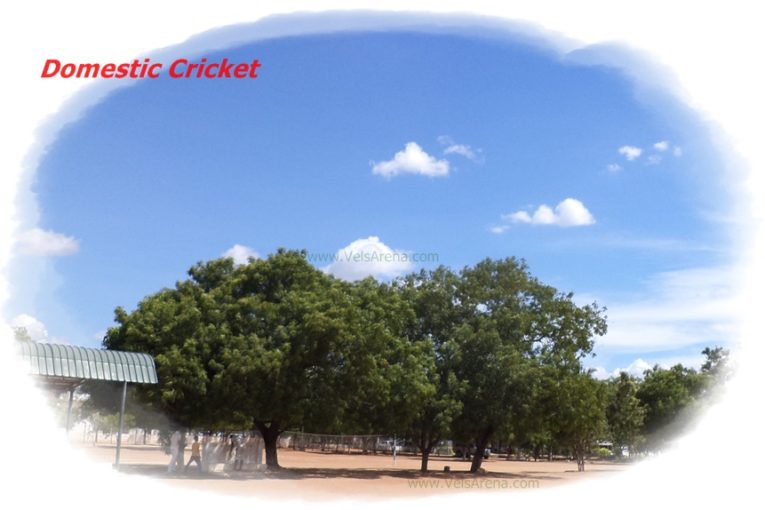 Tamil Nadu Cricket