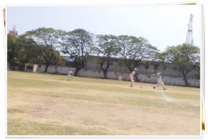Tamilnadu Cricket