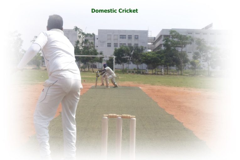 District Cricket