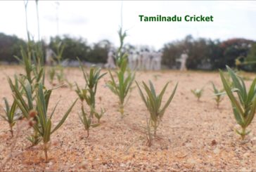 Lokeshwar starred for Tamilnadu