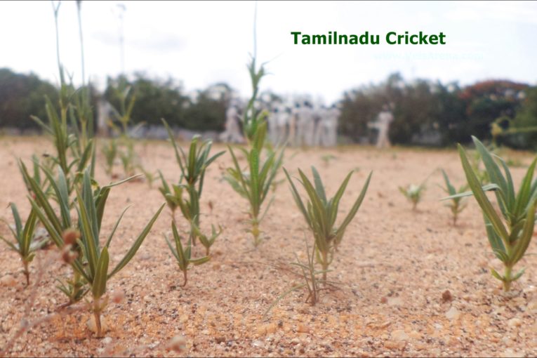 Tamilnadu Cricket