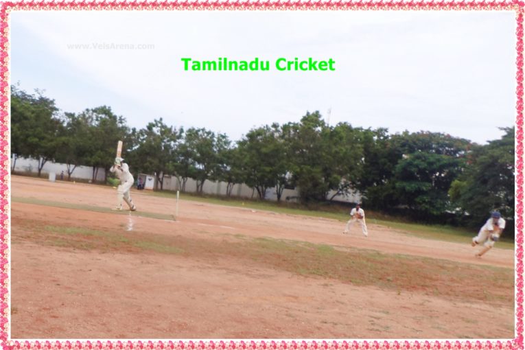 Tamilnadu Cricket