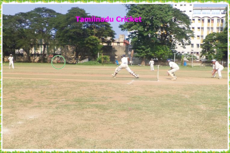 Tamilnadu Cricket