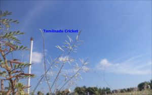 Tamilnadu Cricket