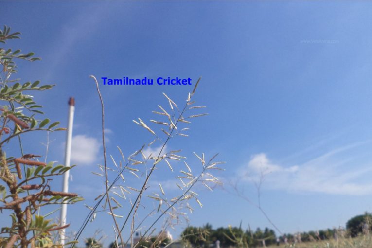 Tamilnadu Cricket