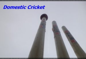 Cricket in Tamilnadu