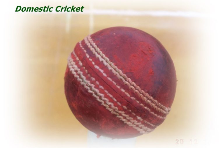 Domestic Cricket