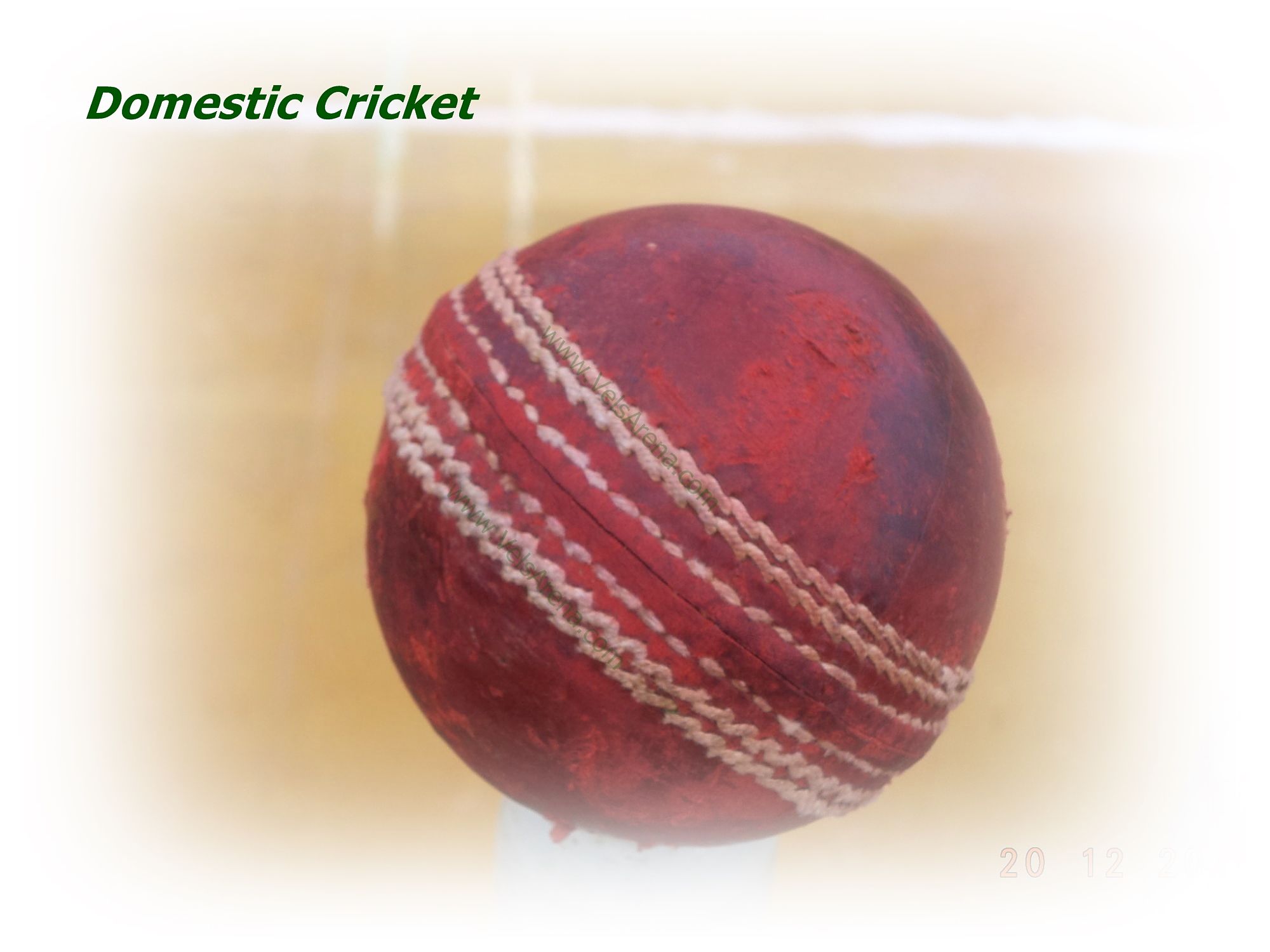 Domestic Cricket