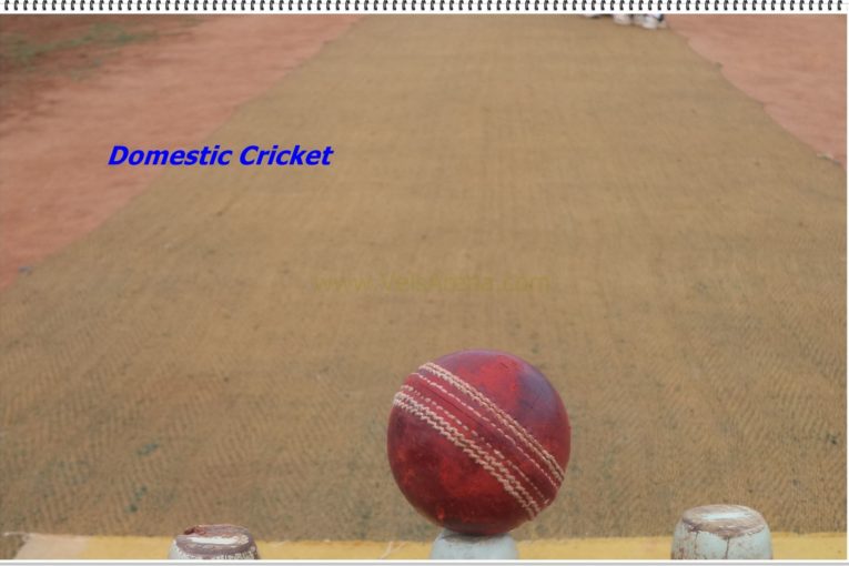 District Cricket