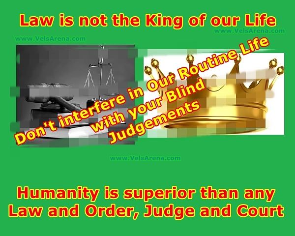 Law is not the King