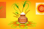 ஹேவிளம்பி தை '௧'